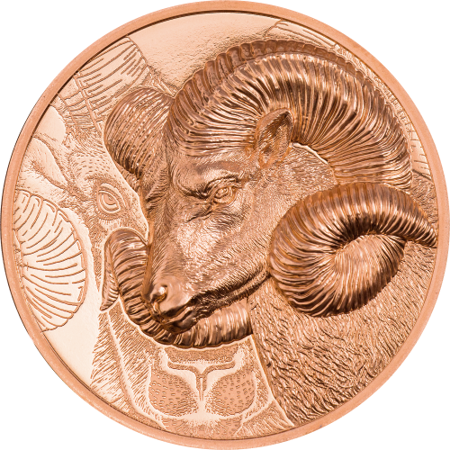 Mongolia 2022 250 Togrog MAGNIFICENT ARGALI Ram 50g Kupfer Münze