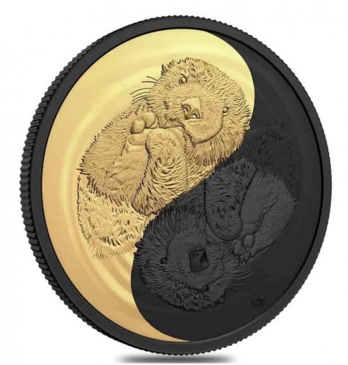 Canada 2022 20$ Black and Gold - The Sea Otter 1 Oz Silver Coin and Rhodium