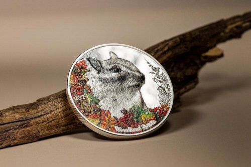 Mongolia 2023 500Togrog CHIPMUNK Woodland Spirit 1 Oz Silver Coin