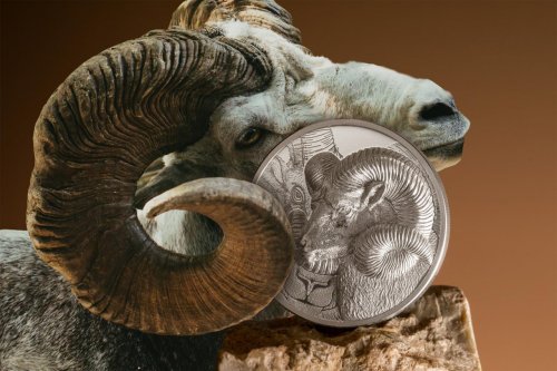 Mongolia 2022 2000Togrog Magnificent Argali - 3 Oz Silver Coin