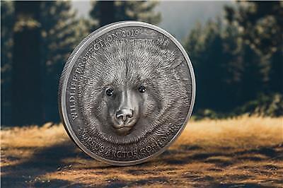 Mongolia 2019 500 Togrog Mongolian Gobi Bear 1 Oz Silver Antique Coin