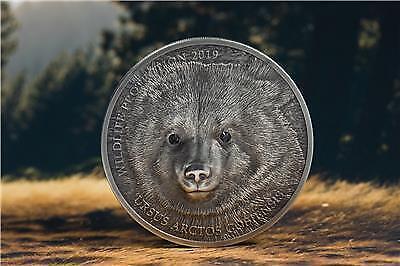 Mongolia 2019 500 Togrog Mongolian Gobi Bear 1 Oz Silver Antique Coin