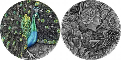 Niue 2022 7$ - Amazing Animals -Peacock 3 Oz silver coin