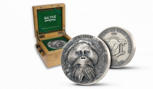 Ivory Coast 2023 5000 Francs Big Five – Orangutan- 5 Oz silver coin