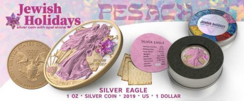 USA 2019 $1 Silver Eagle Jewish Holidays PESACH 1 Oz Silver Coin