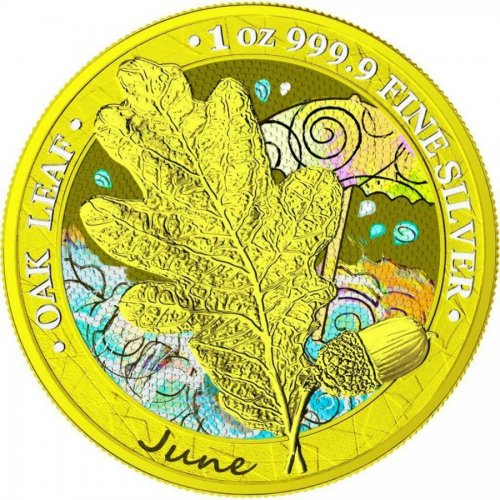 Germania 2019 5 Mark Oak Leaf - 12 Months Series - June 1 Oz Silver Coin