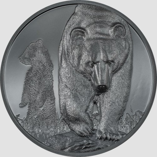 Mongolia 2023 1000 Togrog BROWN BEAR Growing Up 2 Oz Silver Coin