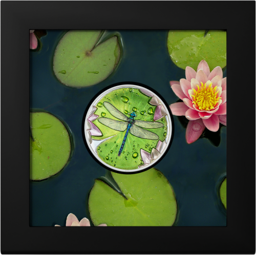 Palau 2024 5$ DRAGONFLY Lily Pad 1 Oz silver coin