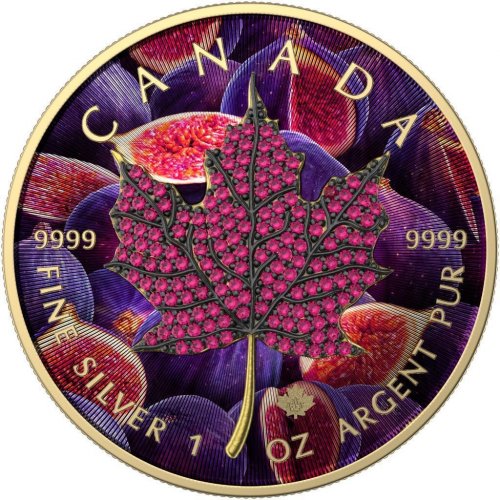 Canada 2022 5$ Maple Leaf Seasons August 1Oz silver coin with Bejeweled insert