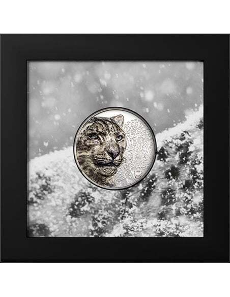 Mongolia 2024 500 Togrog SNOW LEOPARD Wild Mongolia 1 Oz silver coin