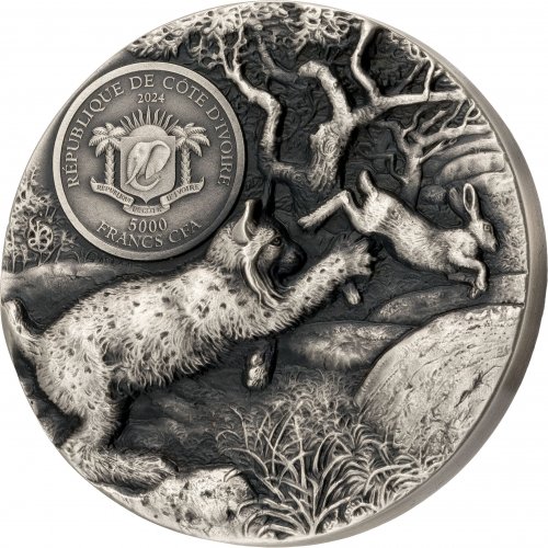 Ivory Coast 2024 Mauquoy Haut Relief - Predators - LYNX 3 Oz silver coin