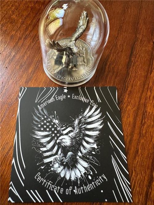 USA 2024 5$ American Eagle-EAGLE 1 Oz Exclusive silver coin