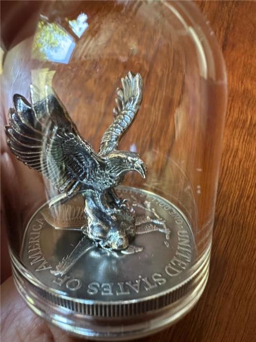 USA 2024 5$ American Eagle-EAGLE 1 Oz Exclusive silver coin