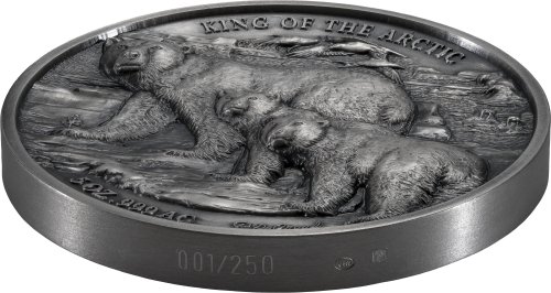 Ivory Coast 2025 5000 Francs King of the Arctic - Polar Bear 5 Oz silver coin