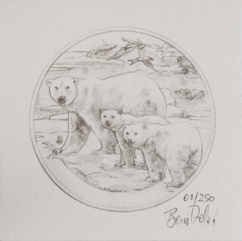 Ivory Coast 2025 5000 Francs King of the Arctic - Polar Bear 5 Oz silver coin