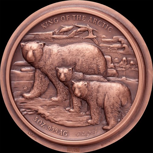 Ivory Coast 2025 5000 Francs King of the Arctic - Polar Bear 5 Oz silver coin