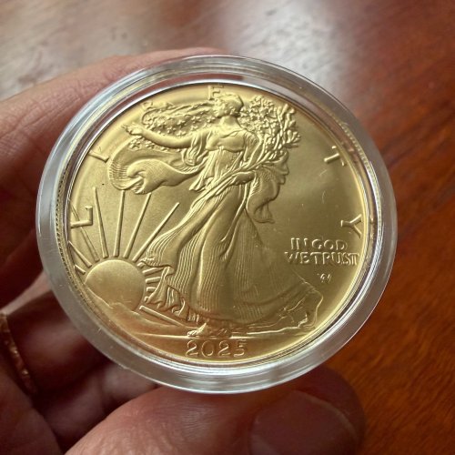 USA 2024 5$ American Eagle-EAGLE 1 Oz Gilded Exclusive silver coin