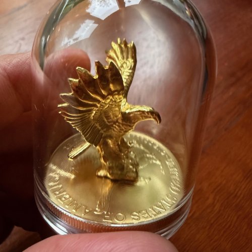 USA 2024 5$ American Eagle-EAGLE 1 Oz Gilded Exclusive silver coin
