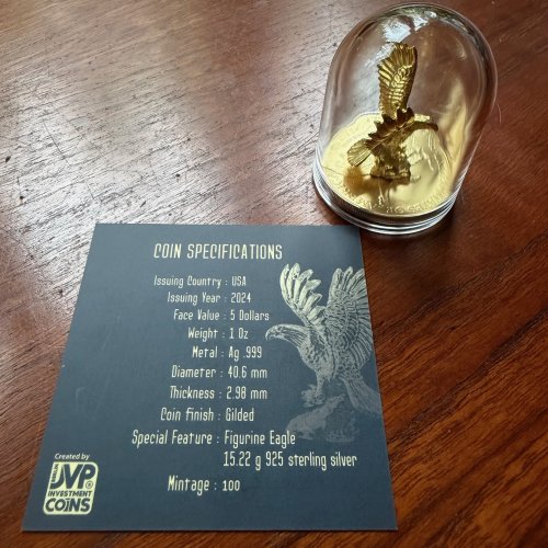 USA 2024 5$ American Eagle-EAGLE 1 Oz Gilded Exclusive silver coin