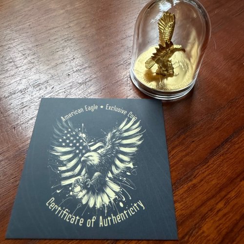 USA 2024 5$ American Eagle-EAGLE 1 Oz Gilded Exclusive silver coin