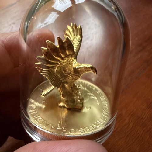 USA 2024 5$ American Eagle-EAGLE 1 Oz Gilded Exclusive silver coin
