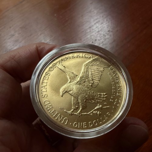 USA 2024 5$ American Eagle-BULL 1 Oz Gilded Exclusive silver coin