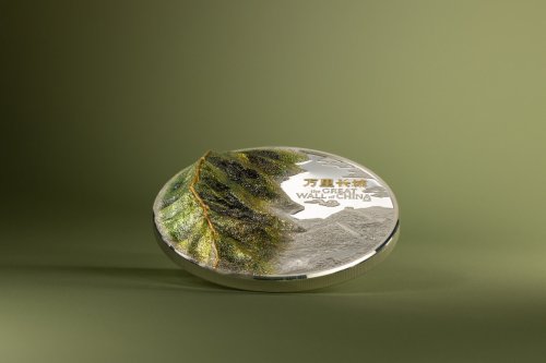 Cook Islands 2025 20$ GREAT WALL OF CHINA 3 Oz  silver coin