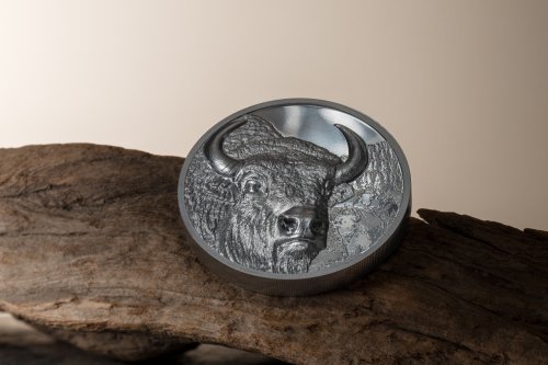 Mongolia 2025 1000 Togrog BISON Wild Mongolia 2 Oz Black Proof silver coin