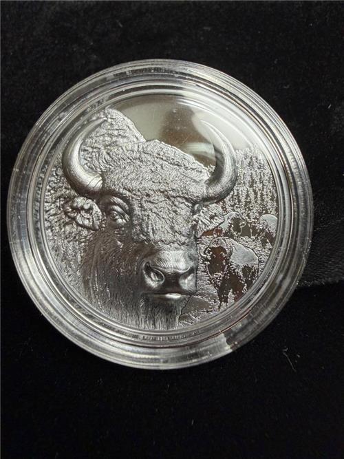 Mongolia 2025 1000 Togrog BISON Wild Mongolia 2 Oz Black Proof silver coin