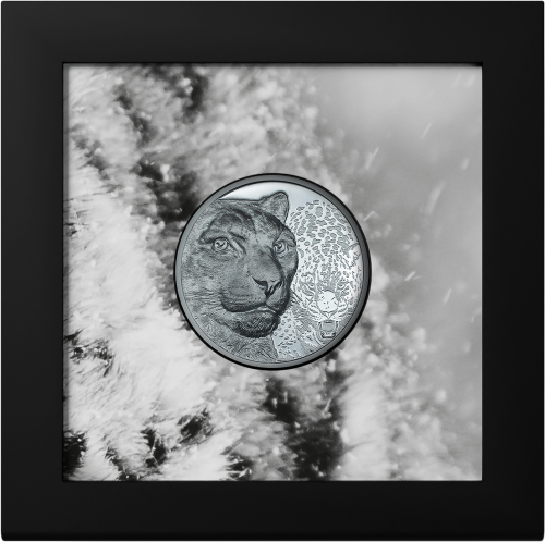 Mongolia 2024 1000 Togrog SNOW LEOPARD Wild Mongolia 2 Oz silver coin