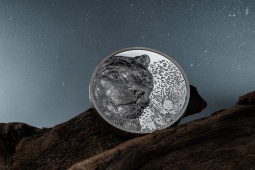 Mongolia 2024 1000 Togrog SNOW LEOPARD Wild Mongolia 2 Oz silver coin