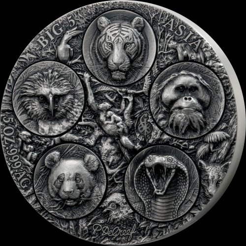 Ivory Coast 2026 5000 Francs Big Five Asia – Completer 5 Oz silver coin
