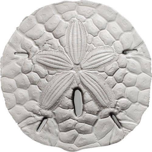 PALAU 2017 1 Dollar Sand Dollar Proof silver coin